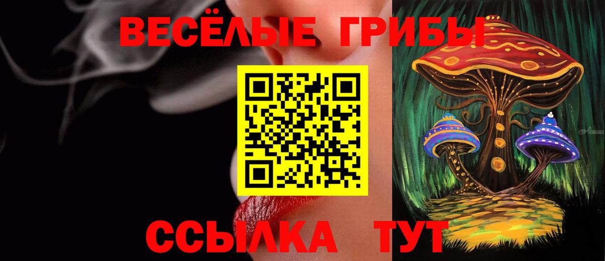 Владикавказ  Галлюциногенные грибы прущие грибы  Вход с VPN 